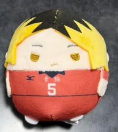 ハイキュー!! ふわころりん 音駒高校 孤爪 研磨