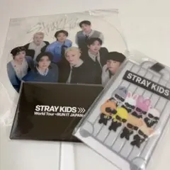 Stray Kids RUN IT JAPAN アップグレード特典 トレカ - メルカリ
