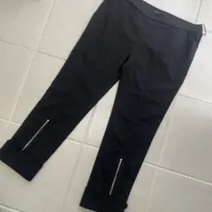 Comme des Garcons Homme Plus Zipパンツ - メルカリ