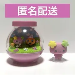 たまごっち カプセリウム カプセルフロッキーズ ふらわっち めめっち