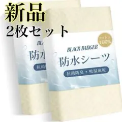 Item thumbnail for item ef2a31a0-d2af-4f28-829e-7ebcbc4595f1