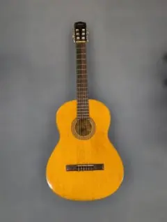 2026年最新】YAMAHA G 100 ギターの人気アイテム - メルカリ