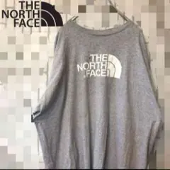 【THE NORTH FACE】Tシャツ ビックロゴ ビックサイズ