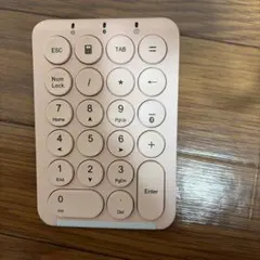 ローズゴールド テンキー