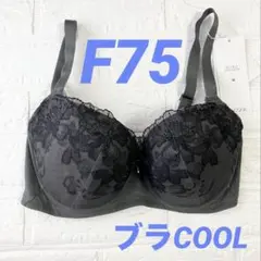 F75 トリンプ　ブラCOOL627 ブラジャー　夏ブラのサムネイル