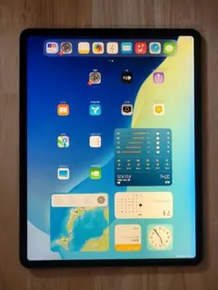 iPad Pro 12.9第4世代 Wi-Fi 256GB　「訳あり出品」