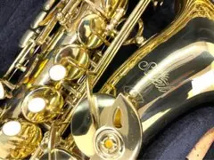 Item thumbnail for item 8c32e161-ecdd-423e-a07c-dbee497b5d0f