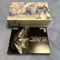 【訳あり】RG デスティニーガンダム［チタニウムフィニッシュ］セット