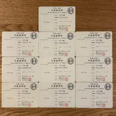 【希少・匿名発送】銀魂　3年Z組銀八先生　2巻初版特典　生徒証明書　10枚セット