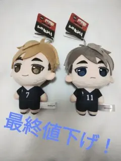 ぷちっしゅ！ ハイキュー!! vol.2 【宮治】 【宮侑】