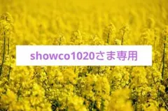 【showco1020さま専用】新品✨️FABIO RUSCONI【22.5cmのサムネイル