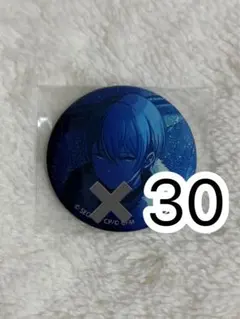 青柳冬弥グリッター缶バッジ vol44A 20個 青柳冬弥グリッター缶バッジ vol44A 20個 - メルカリ