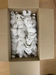 Item thumbnail for item dda955f1-5cdc-4a14-adda-9bb79c489451