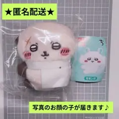 【オマケ付き】ちいかわ クリップぬいぐるみ ラッコ