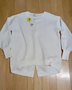 ロペピクニック