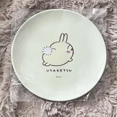 ちいかわ うさぎ 2023年 ハッピーバッグ メラミンプレート お皿