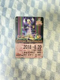 リゾートライン フリーきっぷ 35周年ハピエストセレブレーション2018