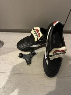 Item thumbnail for item 4638b371-5408-43f7-9e13-afa1c3fdd6e8