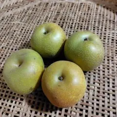 サウォル様専用　梨とブルーベリーセット