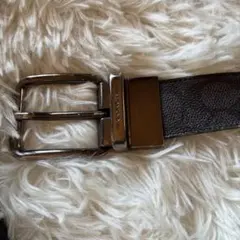 Item thumbnail for item 27d5b827-12d9-44f4-ba97-cab9bfd308e1