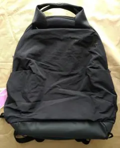 ☆THE NORTH FACE☆W NEVER STOP DAYPACK　20Lのサムネイル
