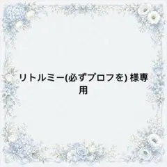 リトルミー(必ずプロフを)様 専用 - メルカリ