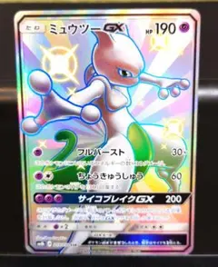 ぽんちゃ様 リクエスト 2点 まとめ商品