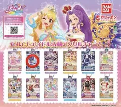 アイカツ！ アクリルチャーム 12種セット