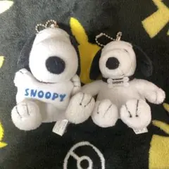 スヌーピー キーホルダー付きぬいぐるみ 2体セット　マスコット