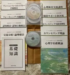 ［ほぼ新品］メンタル総合心理®資格取得教材セット 2026年最新】メンタル心理カウンセラー キャリカレの人気アイテム