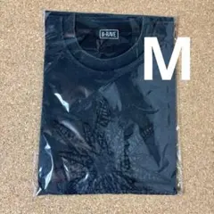 hana 1st TOUR 2026 Born to Bloom GY Tシャツ - メルカリ