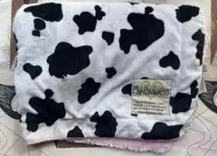 Item thumbnail for item d00cf5c4-31c4-4977-9c5d-66b21530883a