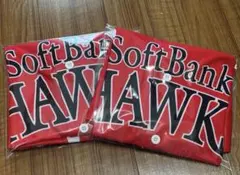 ソフトバンクホークス 鷹祭SUMMER BOOST 2025 Lサイズ 2枚