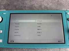 ⭐︎ジャンク品⭐︎Nintendo Switch Lite ターコイズ