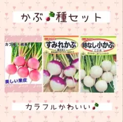 7034n様 リクエスト 6点 まとめ商品