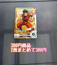 ニッシ様 リクエスト 2点 まとめ商品