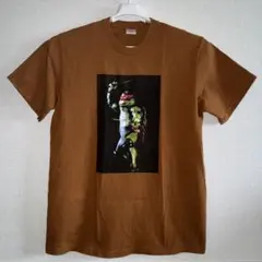Supreme Raphael Tee Brown シュプリーム M Tシャツのサムネイル