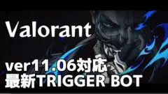 valorant triggerbot