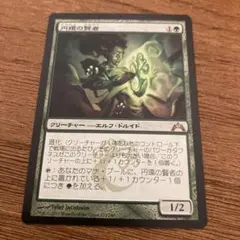 MTG 円環の賢者　日本語1まい