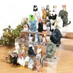 【希少】合掌1拝～6拝 全30種 フルコンプリート