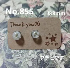 No. 855 ハンドメイド かすみ草 ドライフラワーのレジンピアス