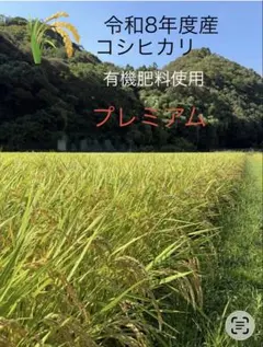 令和八年産コシヒカリ 新米 近江米 農薬不使用 白米10kg - メルカリ