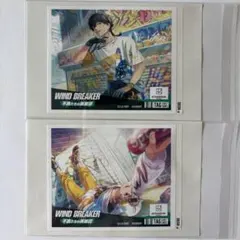 WINDBREAKERラベル缶兎耳山丁子ウィンヒロウィンブレステッカーアク