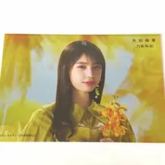 乃木坂46 矢田萌華 42nd 是非に及ばず セブンネット限定特典生写真のサムネイル