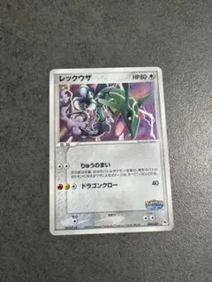 タカ様専用　　レックウザ ポケパーク プレミアムファイル 009/009