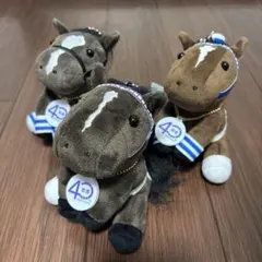 テンハッピーローズ 津村明秀 騎手 直筆サイン入り アイドルホース