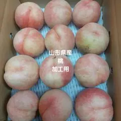 山形県産25桃加工用31日