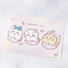 ちいかわ ポストカード ノベルティ 桜 ハチワレ うさぎ モモンガ