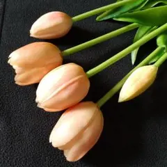 Item thumbnail for item 5d5ae9d6-810a-4118-bbe7-0baf6671d7b7