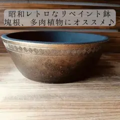ハビタットにオススメな盆栽鉢　塊根植物　アガベ　ハオルチア　サボテン　みやびのサムネイル